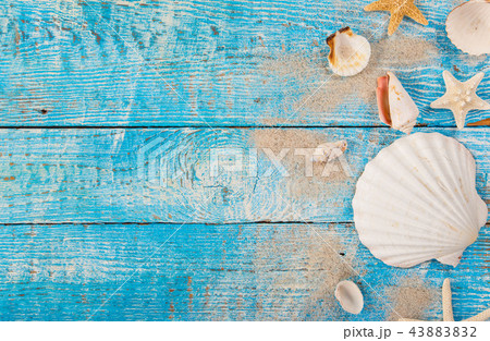 Summer traveling time. Sea holiday background with various shells. Summer traveling time. Sea holiday background with various shells. 43883832