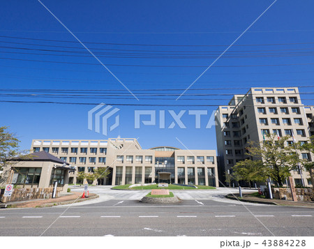 自然科学研究機構 核融合科学研究所 自然科学研究機構 核融合科学研究所 43884228