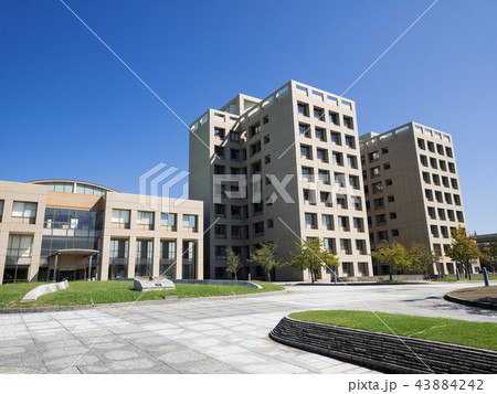 自然科学研究機構  核融合科学研究所 43884242