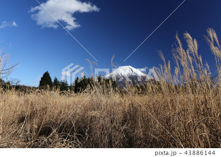 雪景色の富士山 雪景色の富士山 43886144