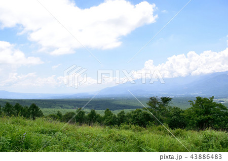 甲府盆地と夏の八ヶ岳 43886483