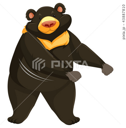 A bear dancing on white background 43887810
