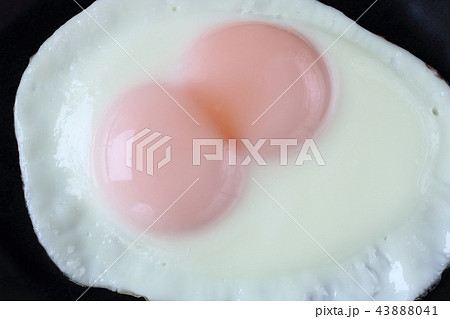 双子の目玉焼き 双子の目玉焼き 43888041