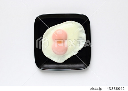 双子の目玉焼き 双子の目玉焼き 43888042