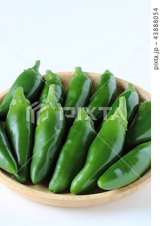 子供ピーマン 43888054