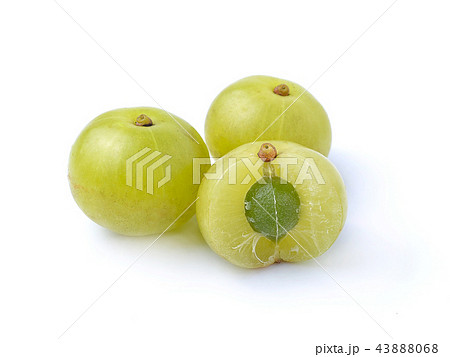 gooseberries on white background 43888068