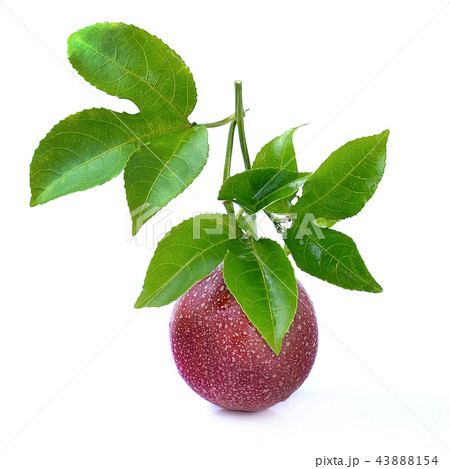 Passion fruit isolated on white background 43888154