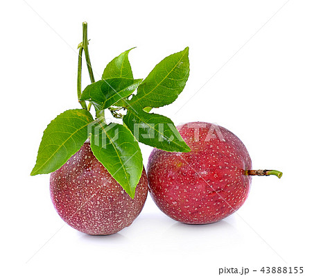 Passion fruit isolated on white background 43888155