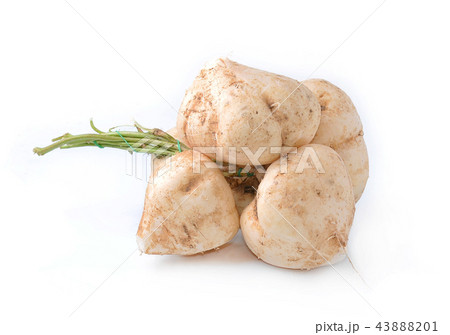 Whole Jicama isolated on white background 43888201