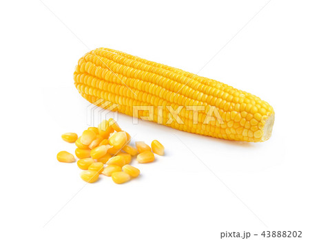 corn isolated on white background 43888202