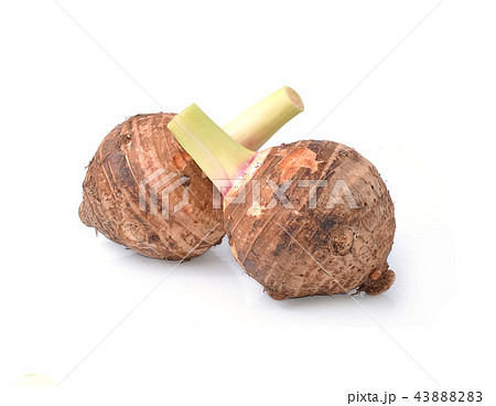 taro isolated on white background 43888283