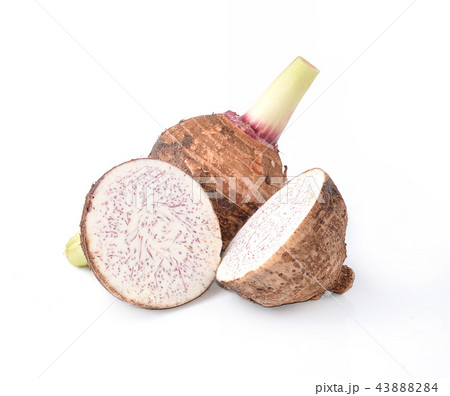taro isolated on white background taro isolated on white background 43888284