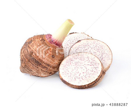 taro isolated on white background taro isolated on white background 43888287