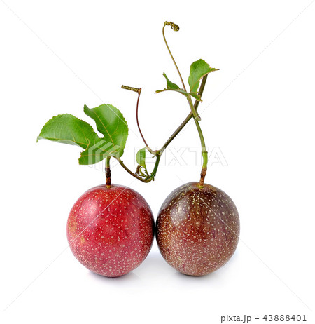 Passion fruit isolated on white background 43888401