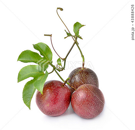Passion fruit isolated on white background 43888426