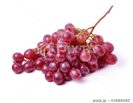 Grape Isolated On White Background Grape Isolated On White Background 43888480