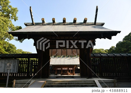 初夏の宮崎神宮 初夏の宮崎神宮 43888911