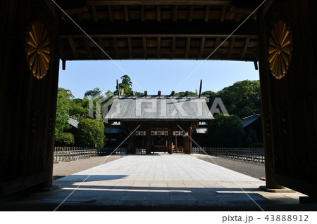 初夏の宮崎神宮 初夏の宮崎神宮 43888912