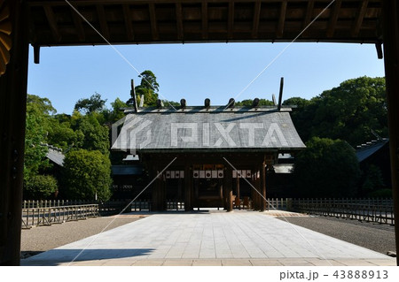 初夏の宮崎神宮 初夏の宮崎神宮 43888913