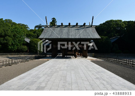 初夏の宮崎神宮 初夏の宮崎神宮 43888933