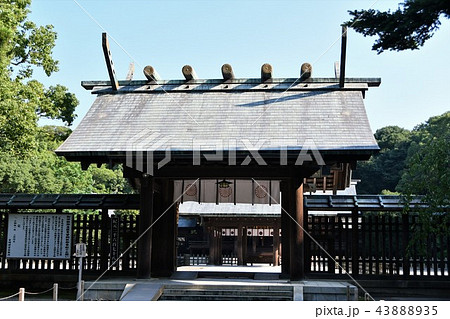 初夏の宮崎神宮 初夏の宮崎神宮 43888935