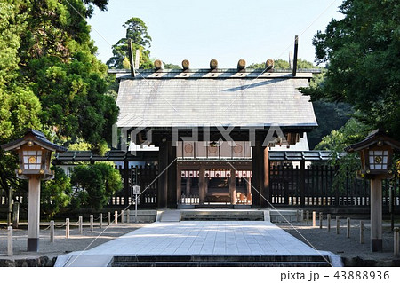 初夏の宮崎神宮 43888936