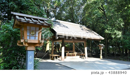 初夏の宮崎神宮 初夏の宮崎神宮 43888940