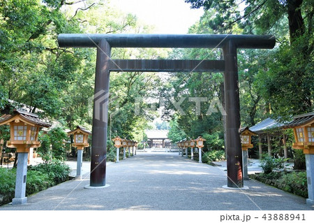 初夏の宮崎神宮 43888941