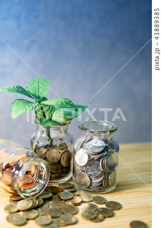 Plant growing in coin jar. Saving money concept Plant growing in coin jar. Saving money concept 43889385