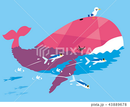 海を泳ぐ鯨 海を泳ぐ鯨 43889678