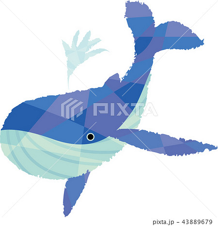 潮を吹く鯨のイラスト素材 43889679 Pixta
