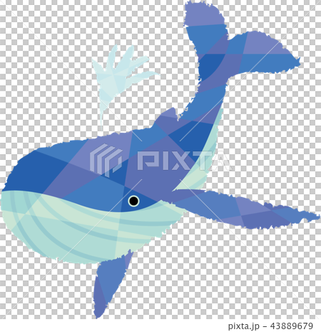 潮を吹く鯨 43889679