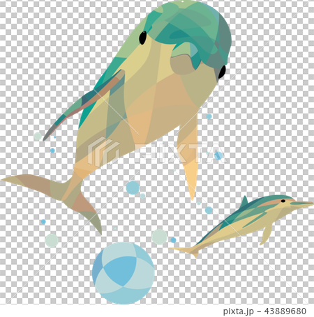 水族館のイルカ 43889680