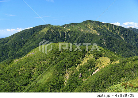南アルプス光岳(てかりだけ)への道 仁田岳、縦走路越しの光岳遠景 南アルプス光岳(てかりだけ)への道 仁田岳、縦走路越しの光岳遠景 43889709