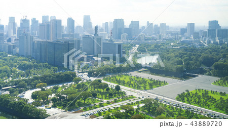 東京風景・丸の内から望む霞ヶ関 国会議事堂方面 東京風景・丸の内から望む霞ヶ関 国会議事堂方面 43889720