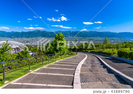 《山梨県》笛吹川フルーツ公園より眺める富士山 43889790