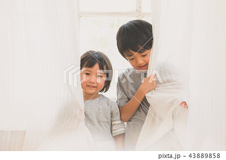 家族 43889858
