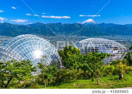 《山梨県》笛吹川フルーツ公園より眺める富士山 43889865