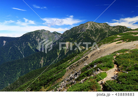 南アルプス光岳への道　縦走路から見える南アルプス南部の山々　兎岳、聖岳 43889883