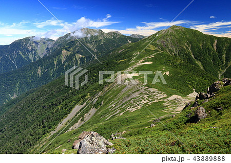 南アルプス光岳への道　縦走路から見える南アルプス南部の山々　兎岳、聖岳、上河内岳 43889888