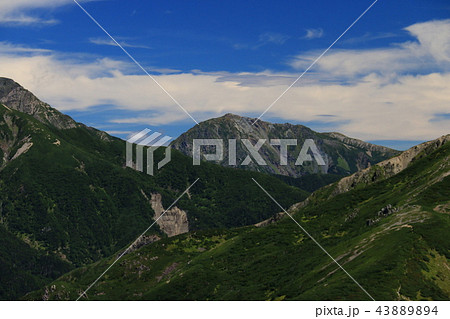 南アルプス光岳への道　縦走路から見える南アルプス南部の山々　悪沢岳 43889894