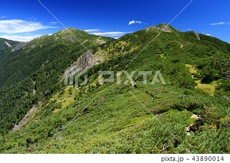 南アルプス光岳（てかりだけ）への道　縦走路から見る南アルプス南部の山々　茶臼岳、上河内岳 43890014
