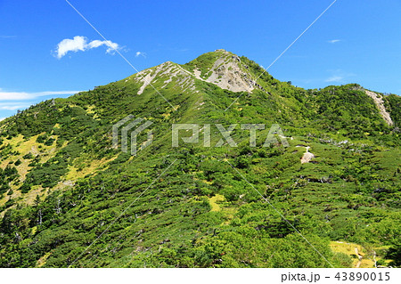 南アルプス光岳(てかりだけ)への道 縦走路から見る南アルプス南部の山々 茶臼岳 南アルプス光岳(てかりだけ)への道 縦走路から見る南アルプス南部の山々 茶臼岳 43890015