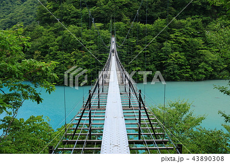 南アルプス光岳（てかりだけ）への道　畑薙湖と畑薙大吊り橋 43890308