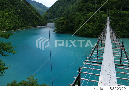 南アルプス光岳（てかりだけ）への道　畑薙湖と畑薙大吊り橋 43890309