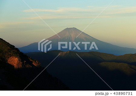 南アルプス光岳(てかりだけ) 山頂直下光岳小屋から 夕暮れに映える富士山 南アルプス光岳(てかりだけ) 山頂直下光岳小屋から 夕暮れに映える富士山 43890731