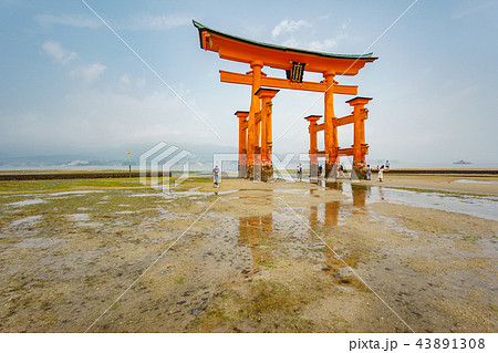 Torii gate on low tide with reflection. 43891308