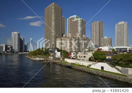 東京都中央区 【秋】 隅田川と高層マンション群 43891420