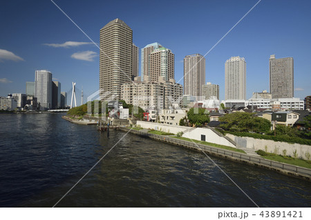 東京都中央区 【秋】 隅田川と高層マンション群 43891421