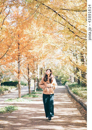 メタセコイア並木と女性 メタセコイア並木と女性 43891614